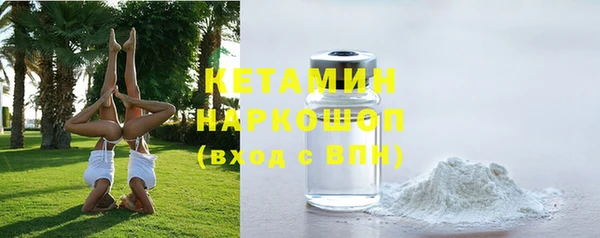 сатива Вяземский