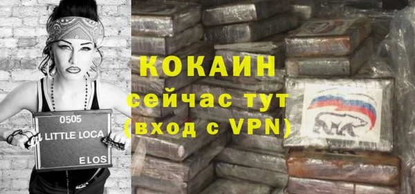 сатива Вяземский