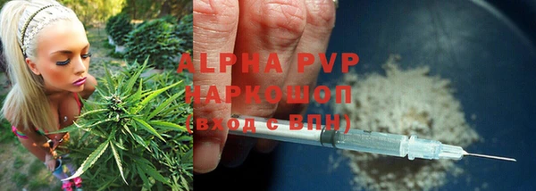 сатива Вяземский
