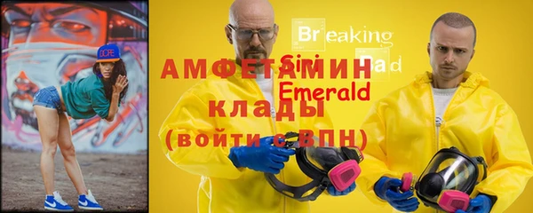 сатива Вяземский